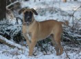 /album/keistad-amy/duinen-181-jpg/